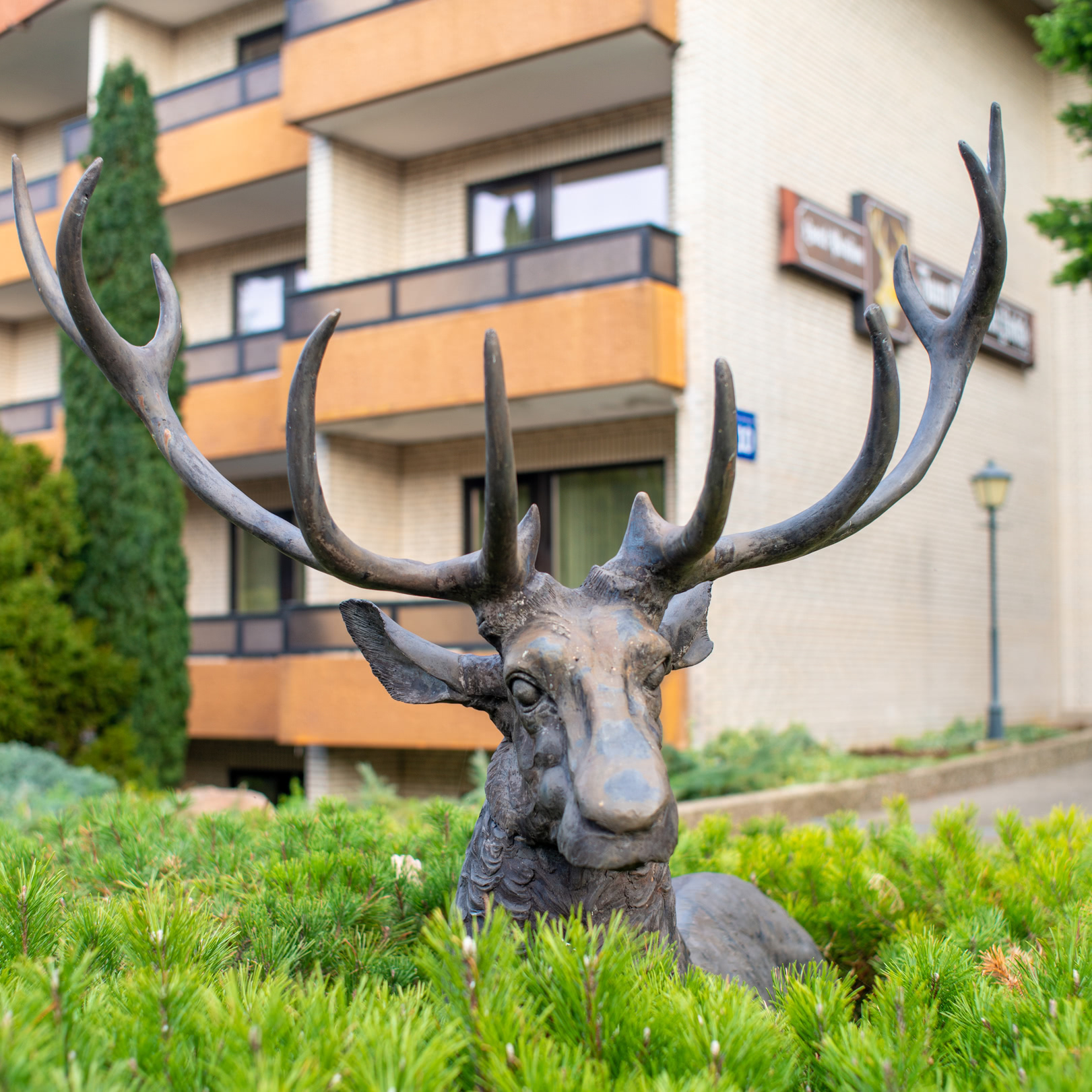 Hotel Zum Goldenen Hirsch